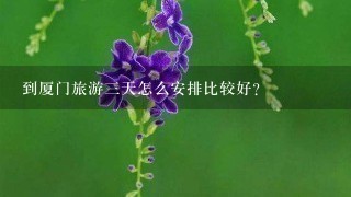 到厦门旅游3天怎么安排比较好？