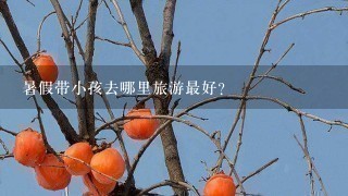 暑假带小孩去哪里旅游最好？