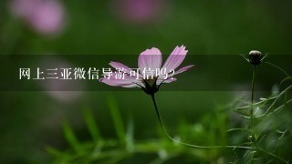 网上3亚微信导游可信吗？