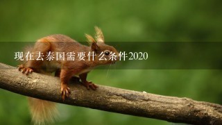 现在去泰国需要什么条件2020