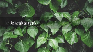 哈尔滨旅游攻略？