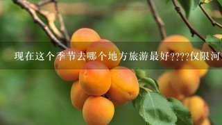 现在这个季节去哪个地方旅游最好????仅限河南地区