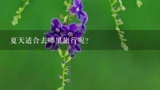 夏天适合去哪里旅行呢？