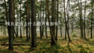 现在适合去什么地方旅游呢？