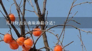 几月份去云南旅游最合适？