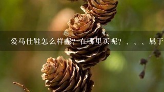 爱马仕鞋怎么样呢？在哪里买呢？、、属于神马类型的 爱马仕男鞋更偏向哪种风格的【 呢？？