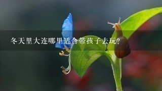 冬天里大连哪里适合带孩子去玩？