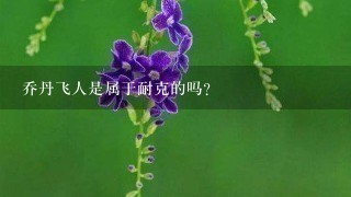 乔丹飞人是属于耐克的吗？