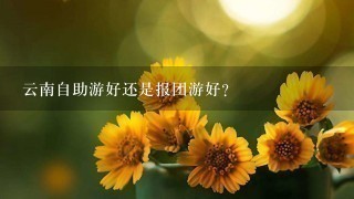 云南自助游好还是报团游好？