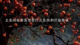 去泰国旅游需要带什么东西和注意事项