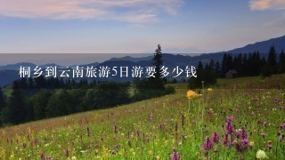 桐乡到云南旅游5日游要多少钱