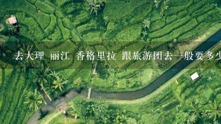 去大理 丽江 香格里拉 跟旅游团去1般要多少钱1个人?