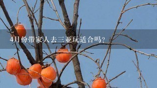 4月份带家人去3亚玩适合吗?