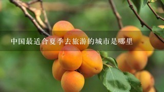 中国最适合夏季去旅游的城市是哪里