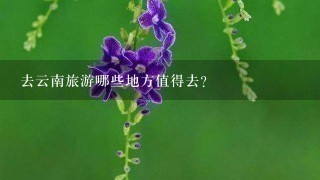 去云南旅游哪些地方值得去？