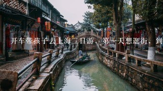 开车带孩子去上海2日游，第1天想逛街，到哪里比较好？