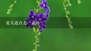 夏天适合去3亚吗？