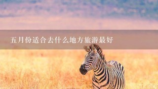 5月份适合去什么地方旅游最好