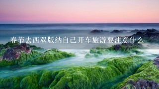 春节去西双版纳自己开车旅游要注意什么