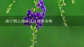 南宁到云南丽江自助游攻略