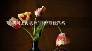 5.1期间上海杭州5日游最佳路线