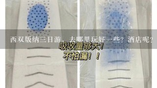 西双版纳3日游，去哪里玩好1些？酒店呢？