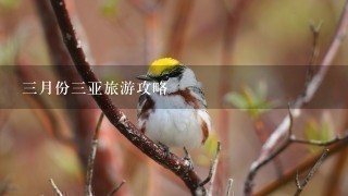 3月份3亚旅游攻略