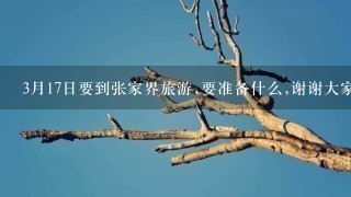 3月17日要到张家界旅游,要准备什么,谢谢大家