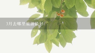 3月去哪里旅游最好