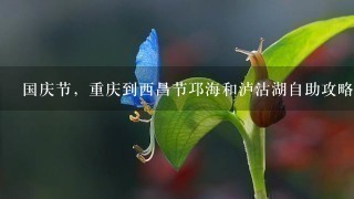 国庆节，重庆到西昌节邛海和泸沽湖自助攻略，谢谢，因为是学生希望有便宜点的线路，