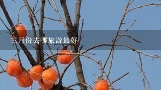 3月份去哪旅游最好