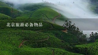 北京旅游必备物品