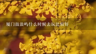 厦门鼓浪屿什么时候去玩比较好