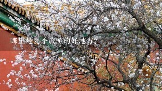 哪里是夏季旅游的好地方？