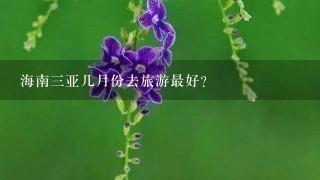 海南3亚几月份去旅游最好?