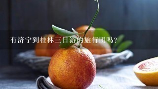 有济宁到桂林3日游的旅行团吗？