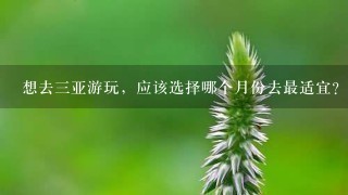 想去3亚游玩，应该选择哪个月份去最适宜？