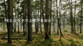 现在这个季节去哪里旅游好？？