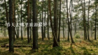 春天去哪里旅游最好