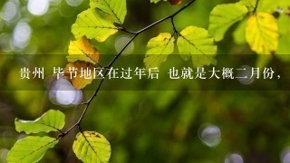 贵州 毕节地区在过年后 也就是大概2月份，有什么值