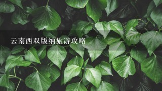 云南西双版纳旅游攻略