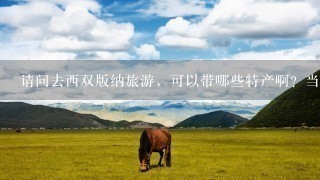 请问去西双版纳旅游，可以带哪些特产啊？当地有什么