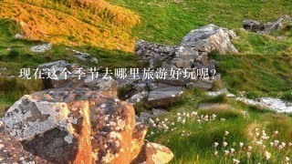 现在这个季节去哪里旅游好玩呢？