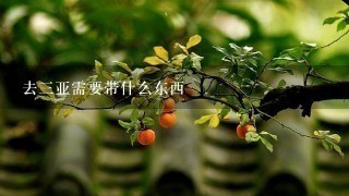 去3亚需要带什么东西