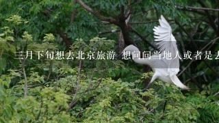 3月下旬想去北京旅游 想问问当地人或者是去过北京的 那个时候北京的天气怎么样 气温冷热