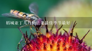 稻城亚丁几月份去是最佳季节最好