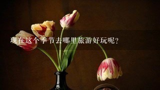 现在这个季节去哪里旅游好玩呢？