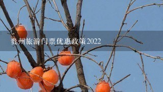 贵州旅游门票优惠政策2022