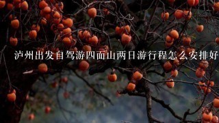 泸州出发自驾游4面山两日游行程怎么安排好些