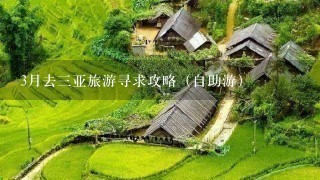 3月去3亚旅游寻求攻略（自助游）